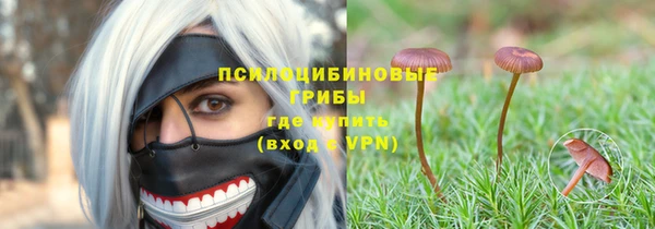 a pvp Новокубанск
