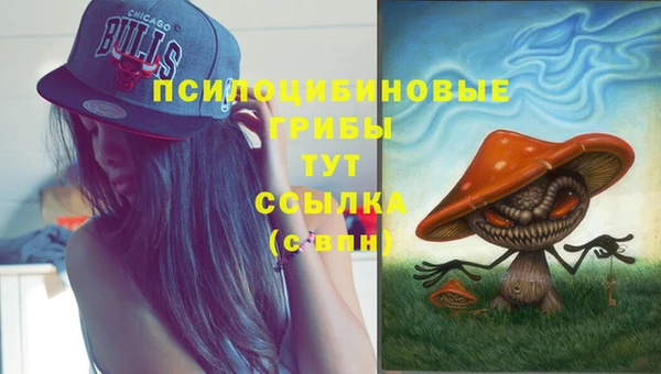 первитин Семикаракорск