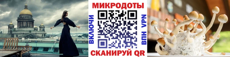 где купить   Алдан  Галлюциногенные грибы Magic Shrooms 